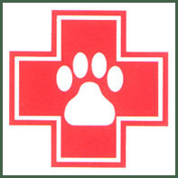 Veterinary Care in Reno